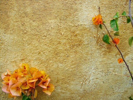 423806 (a): :1600x1200